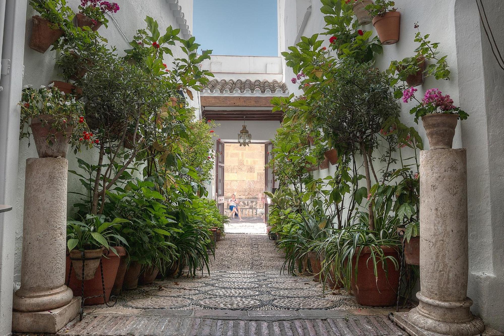 Los Patios — Photos 2